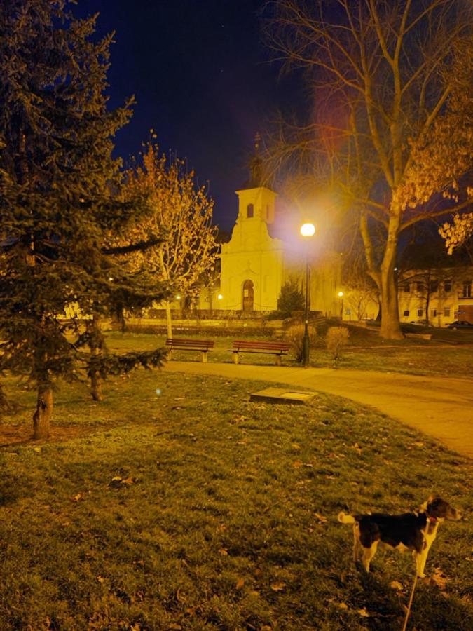 A Pousada Romzsa Tódor Kollégium Szeged Exterior foto